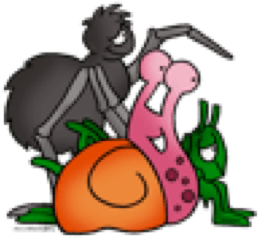 We Will Be Out And About In The School Grounds Searching - Cartoon (960x900)