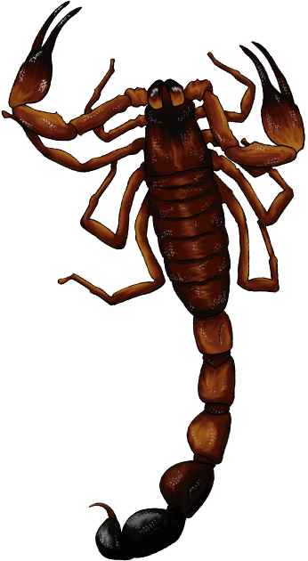 Custom Story Art - Scorpion Claw (346x630)