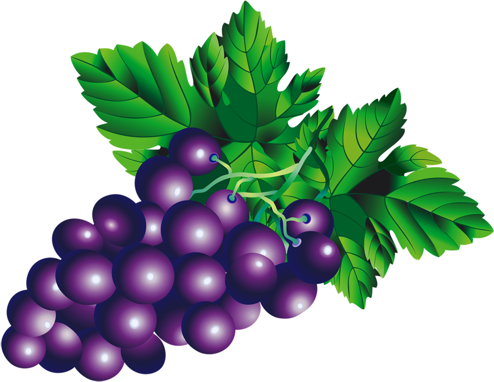 Grape Png Transparent Images - Desenho De Cacho De Uva Colorido (1014x778)