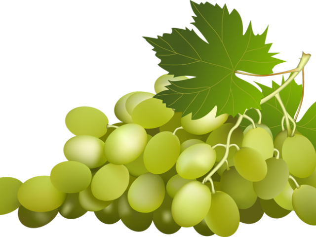 Grapes Clipart Vine Clip Art - Green Grapes Grapes Clipart (640x480)