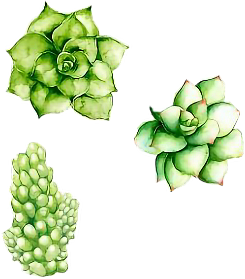 498 X 566 2 - Green Plant Aesthetic (498x566)