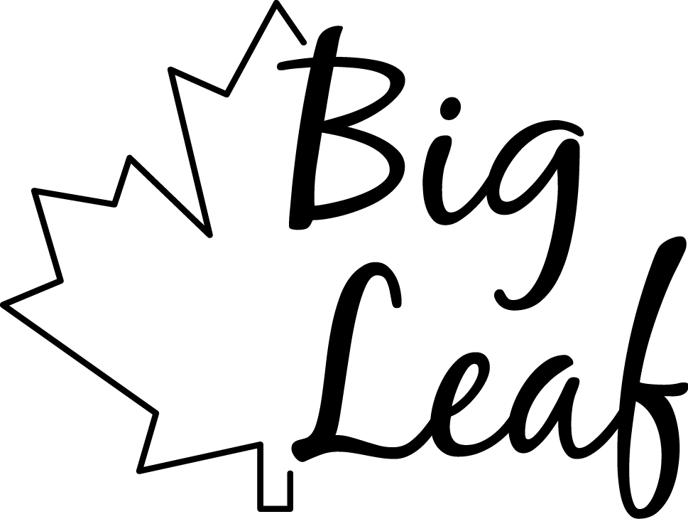 Big Family Of Michigan (969x730)