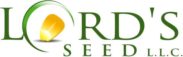 Free Download Lord's Seed Logo Lord's Seed 22kb - Lord Seed (642x200)