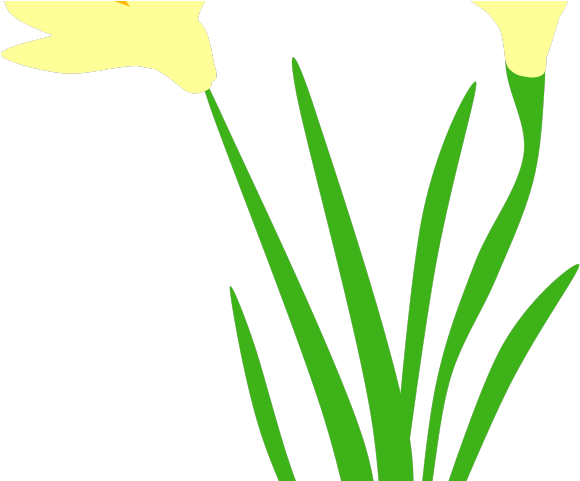 Daffodil Clipart Daffodil Flower - Daffodil Clipart Daffodil Flower (640x480)