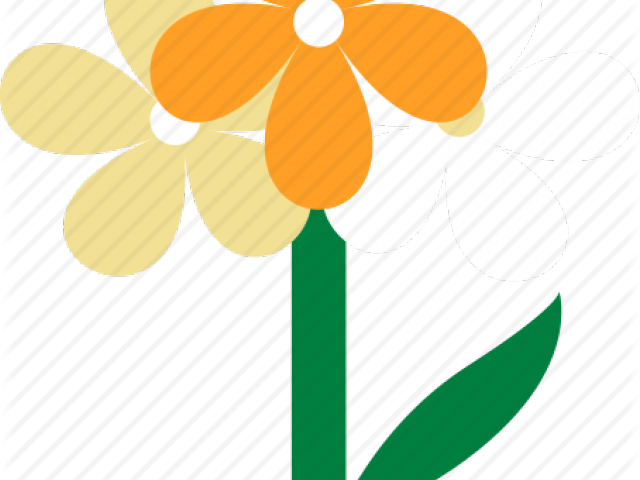 Easter Flower Clipart Yellow Daffodil - Illustration (640x480)