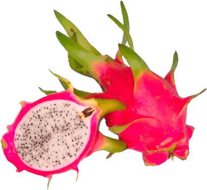 Cartoon Grapes Clip Art - Dragon Fruit Png (620x388)