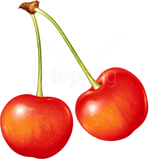 Transparent Background Cherry Icon (480x511)