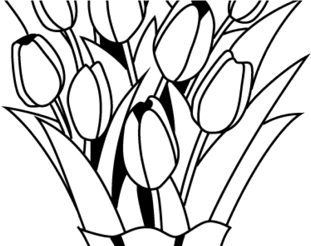 Drawn Bouquet Flower Arrangement - Black And White Flower Bouquet C...