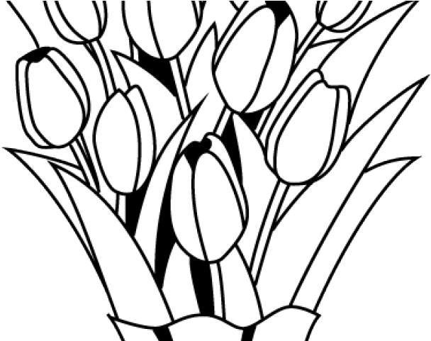 Drawn Bouquet Flower Arrangement - Black And White Flower Bouquet Clipart (640x480)