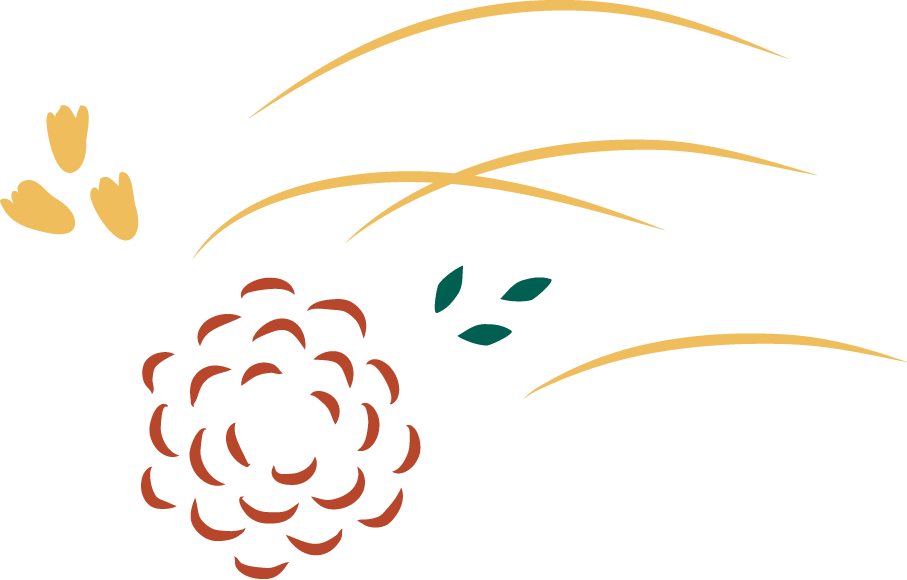 And Has Been Presenting Her Floral Arrangements Ever - And Has Been Presenting Her Floral Arrangements Ever (907x580)