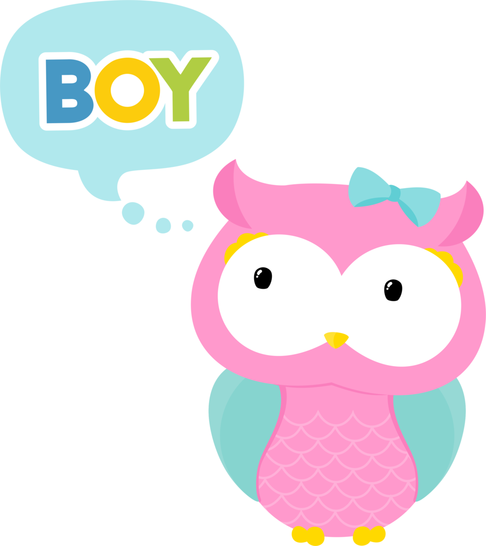 Foot Clipart Owl - Lechuzas En Png (963x1080)