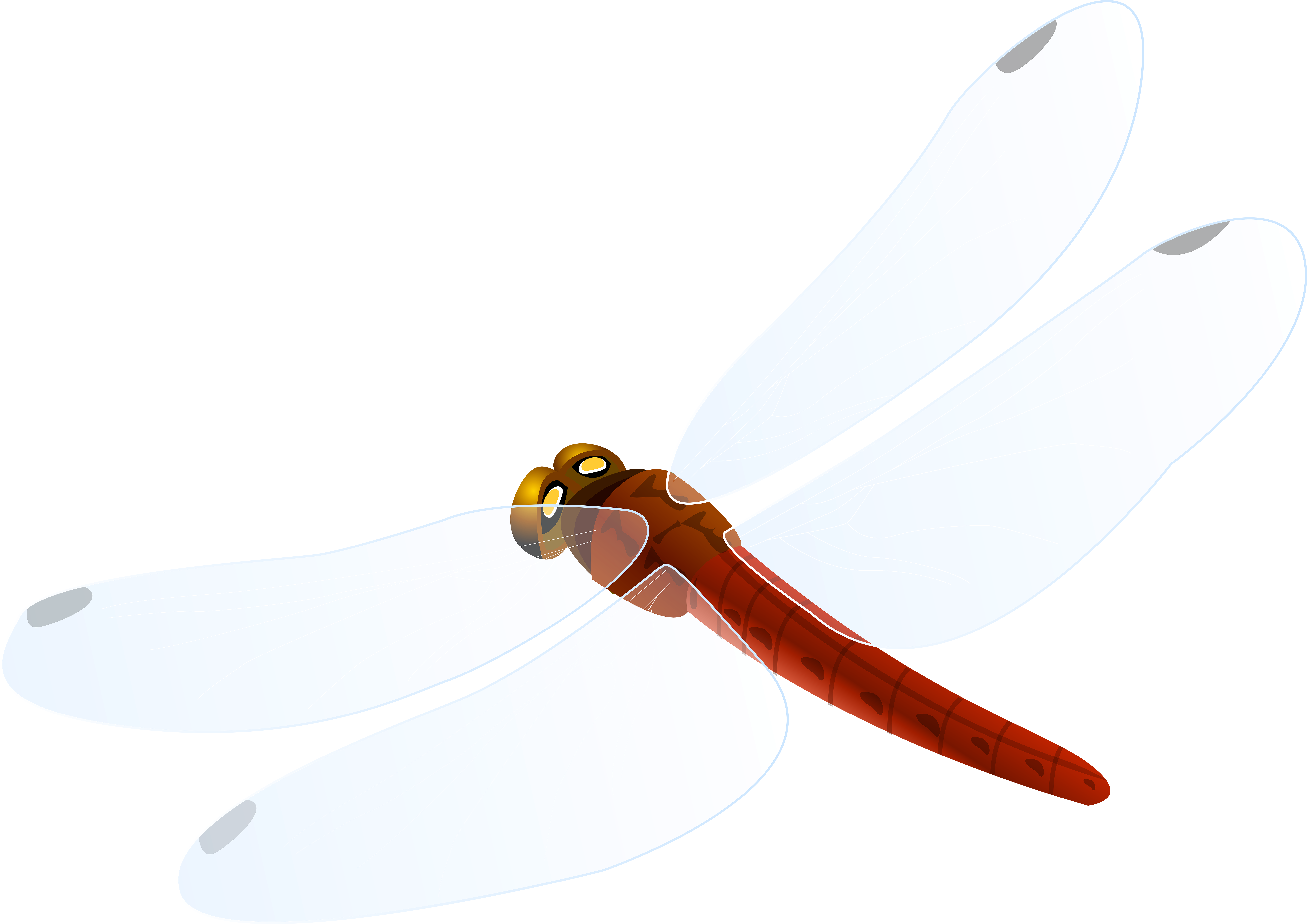Red Dragonfly Png Clipart - Red Dragonfly Png Clipart (7871x5566)