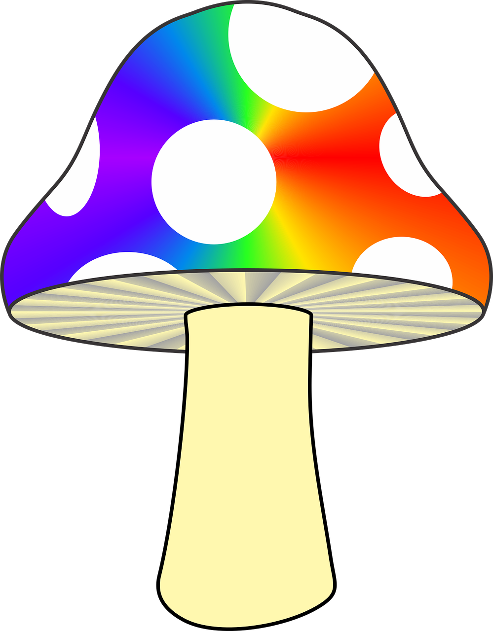 Mushroom,nature,colorful ,fungus,woods - Mushroom Rainbow (999x1280)