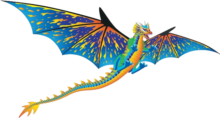 Image Of 3d Supersized Dragon Kite - Dragon Kites (728x728)
