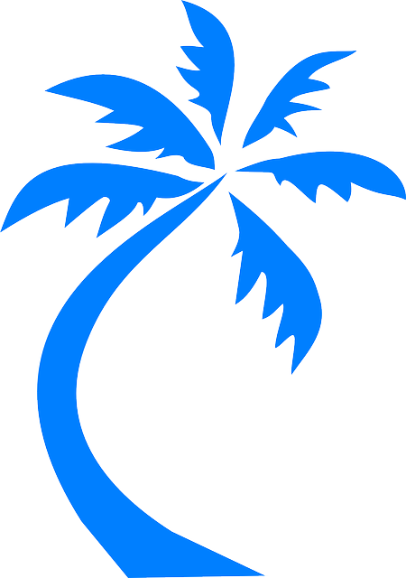 Dessin Minimaliste, Dessin Trait, Postale, Carterie, - Blue Cartoon Palm Tree (450x640)