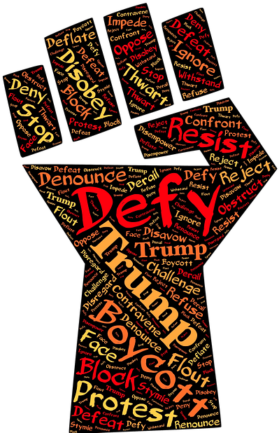 You Are A Rule Breaker - Freedom Fist (494x640)