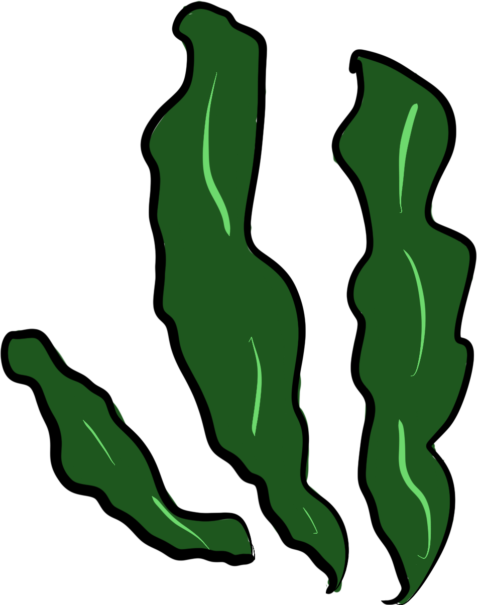 Illustration , Png Download - Illustration , Png Download (1800x1800)