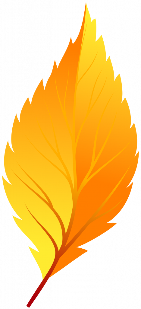 Download Fall Leaves Clip Art - Autumn Leaf No Background (468x1024)
