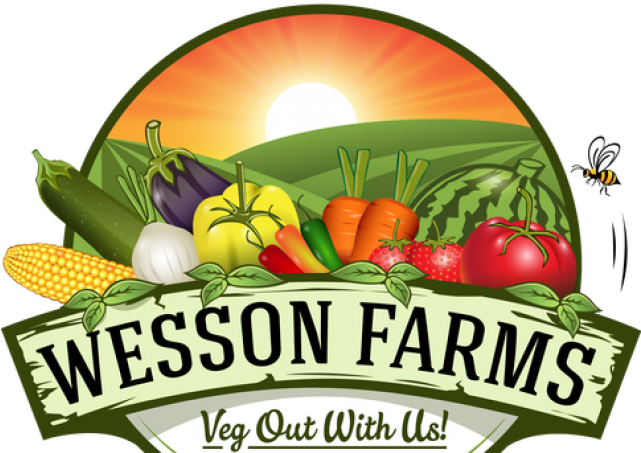 Agriculture Clipart Vegetable Farm - Produce Farm (640x480)