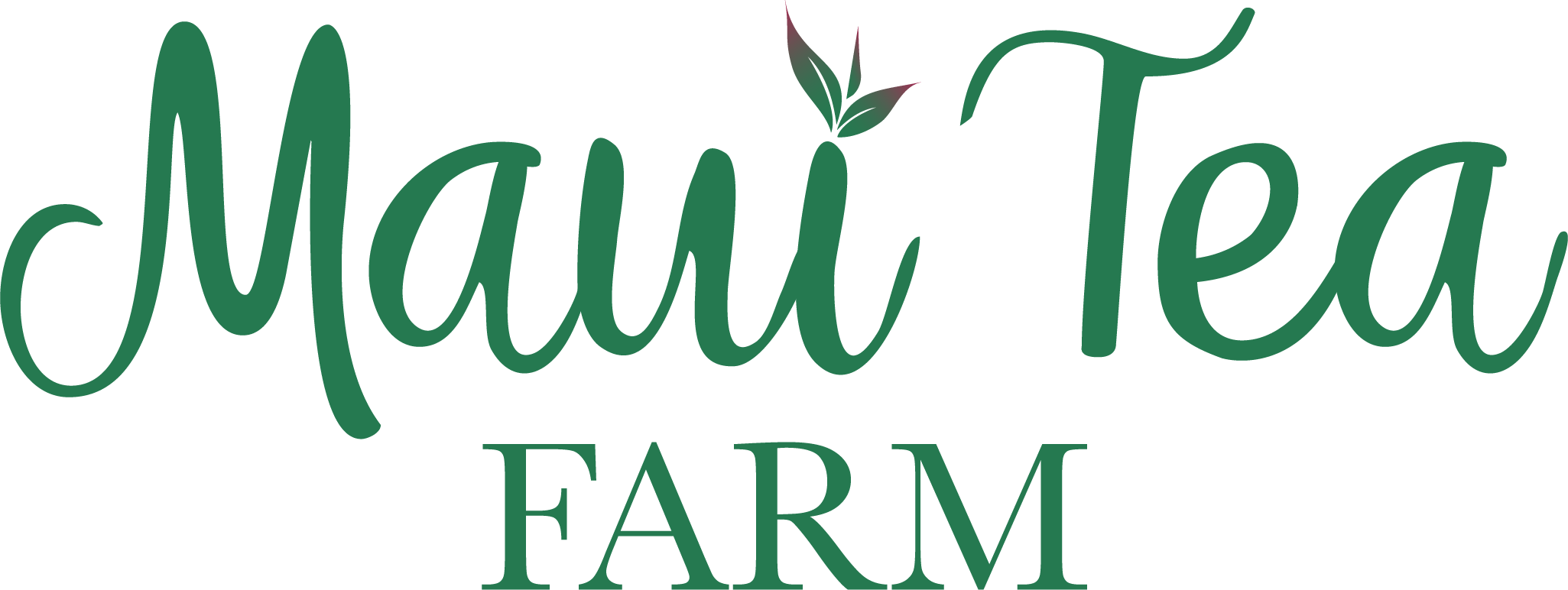 Follow Us - Follow Us (2051x772)