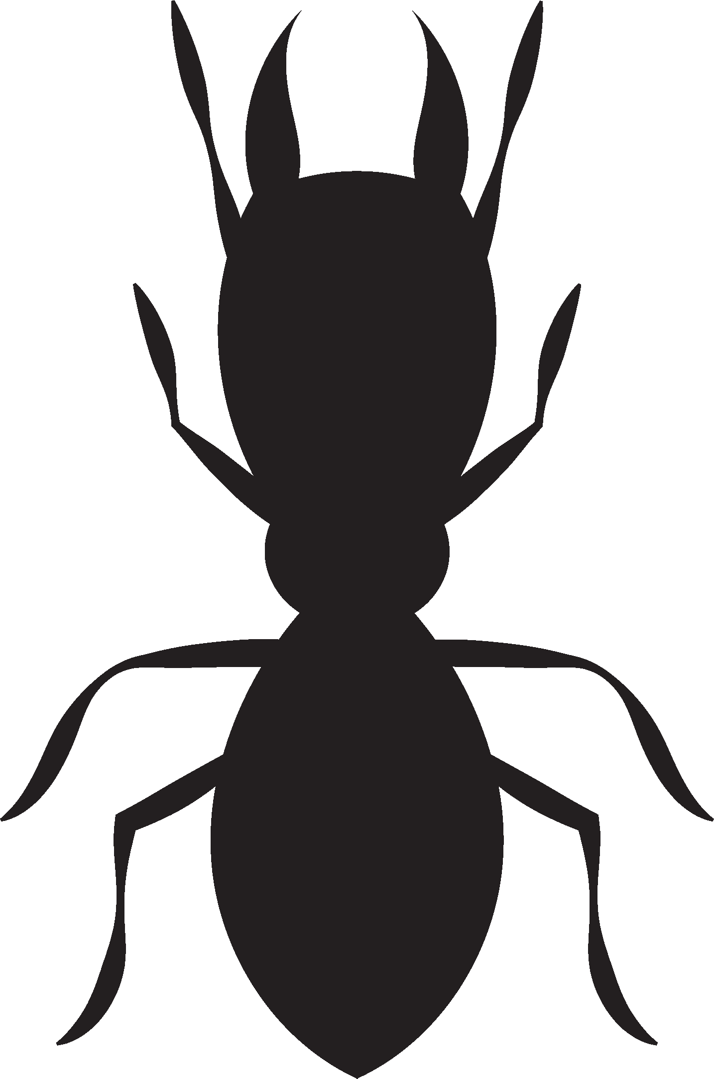 Termite - Ant (1434x2166)