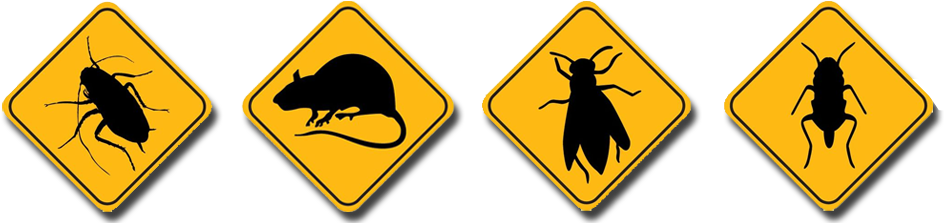 About Us - Pest Control Man Png (980x222)