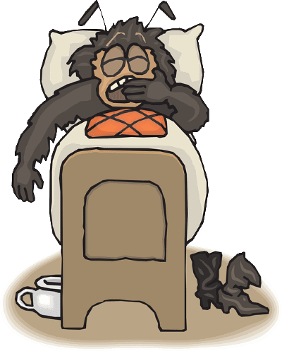 Bed Bugs Extermination - Bed Bug Bite (400x497)