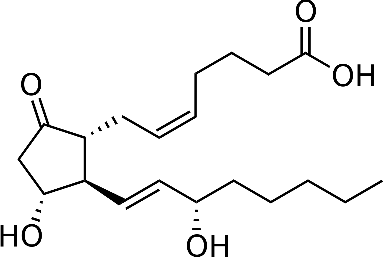 See The Graphic On The Left - Prostaglandine E2 (1280x858)