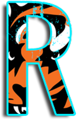 Cincinnati Bengals - Cincinnati Bengals (400x400)