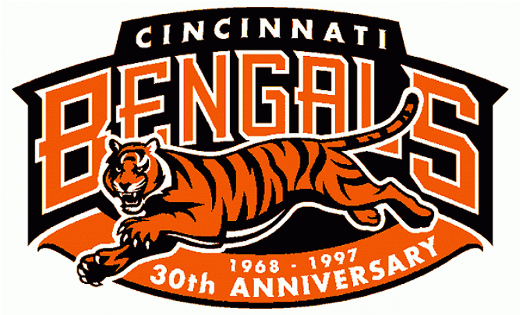 Cincinnati Bengals Iron Ons - Cincinnati Bengals (750x930)