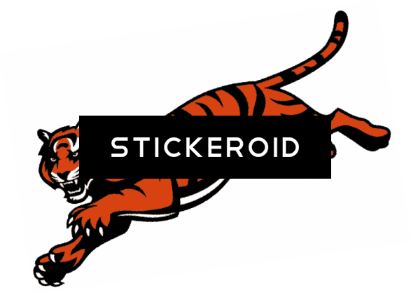 Cincinnati Bengals Football - Cincinnati Bengals (587x421)