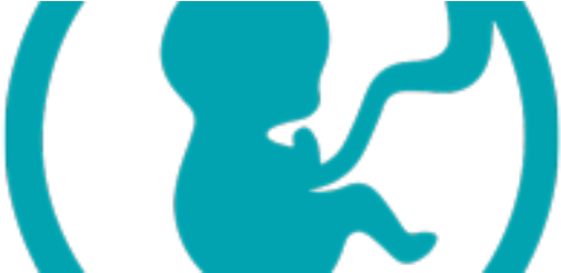 The Umbilical Cord - The Umbilical Cord (520x245)