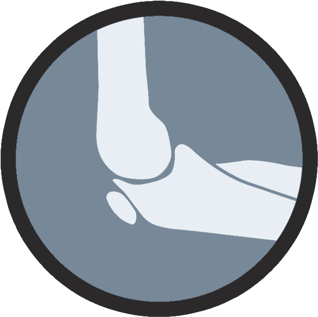 Nikhil Verma, Md @drnikhilverma - Rhode Island Civil Air Patrol (635x635)