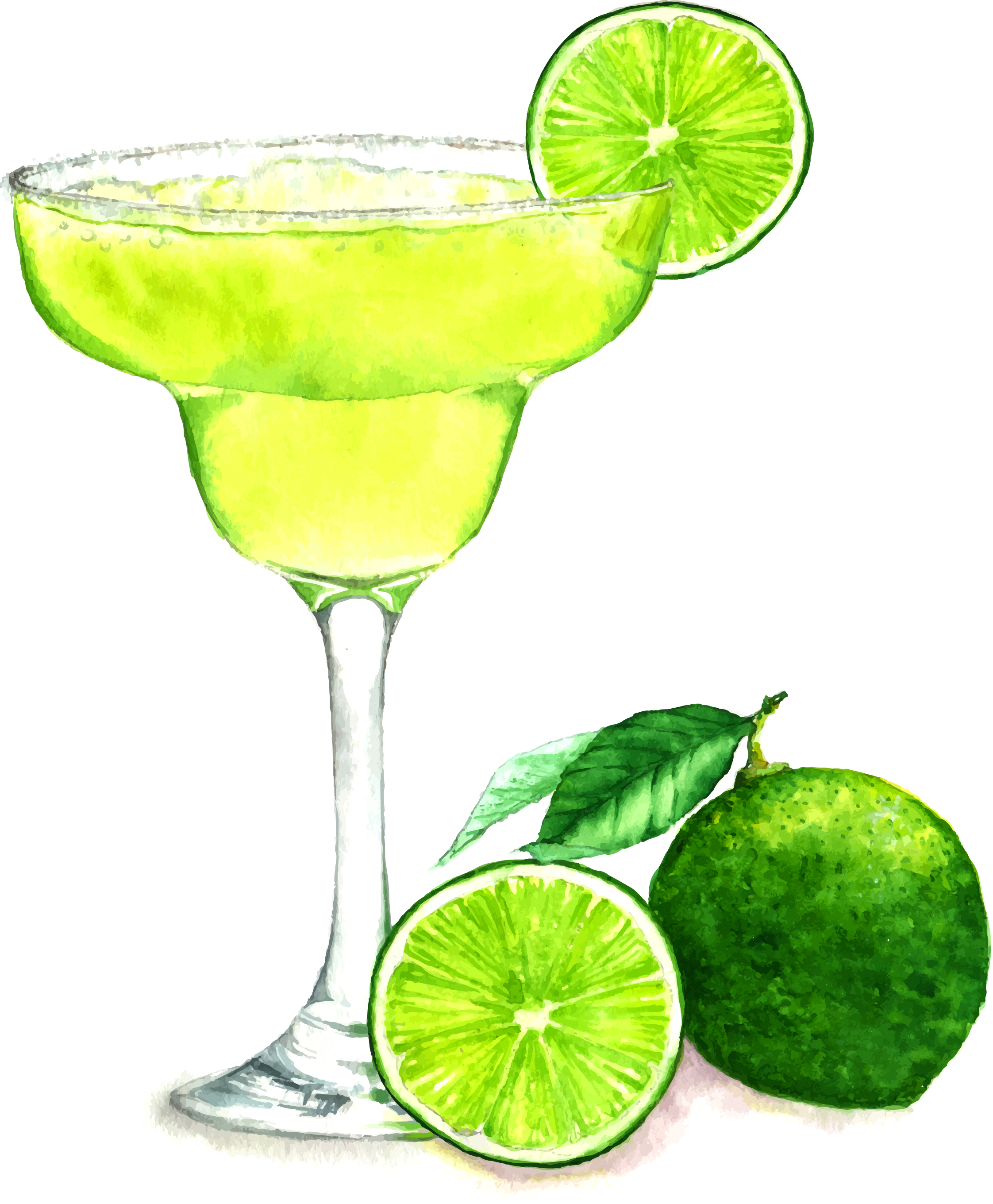Margarita Drawing At Getdrawings - Margarita Drawing (2244x2720)