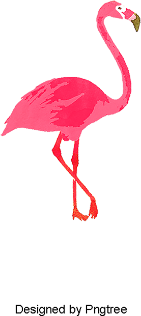 Single Flamingo, Bird, Flamingos, Red Png And Psd - Flamingo Png (800x800)