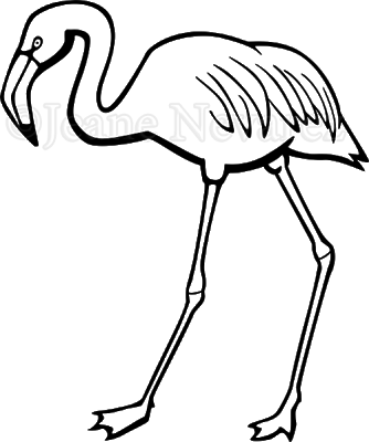 Art By Jeane Nevarez Flamingo - Flamingo Png Black And White (334x400)