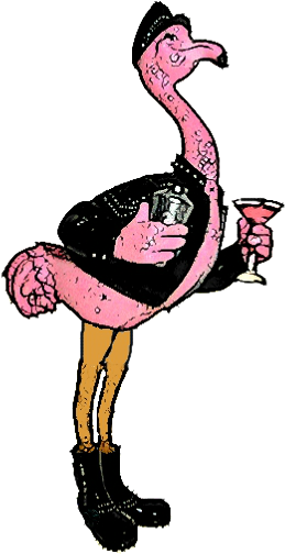 Flamingo Biker Cartoon - Flamingo Biker Cartoon (354x575)