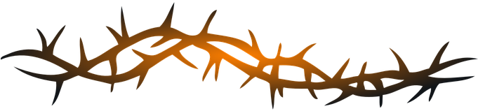 Wire, Barbed, Refugio, Keep Out, Danger - Thorn Vine Clip Art (680x340)
