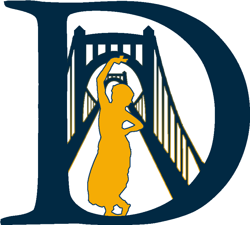 Dhirana 2016 Wide Logo - Cartoon (960x960)