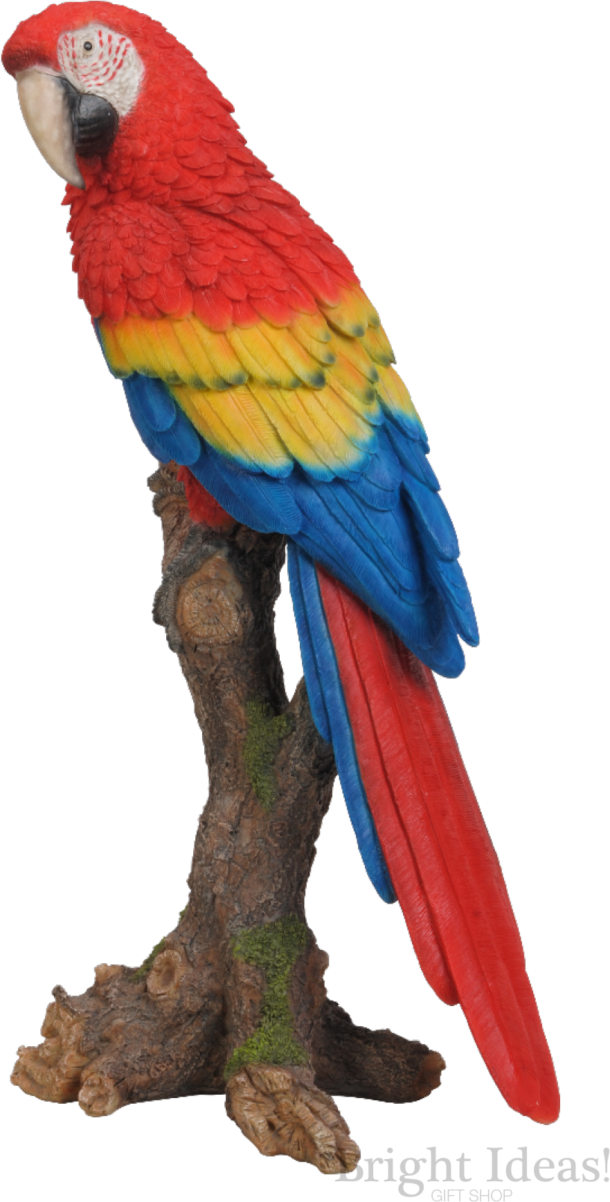 Red Macaw Exotic Bird Vivid Arts Real Life - Red Macaw Exotic Bird Vivid Arts Real Life (1000x1805)