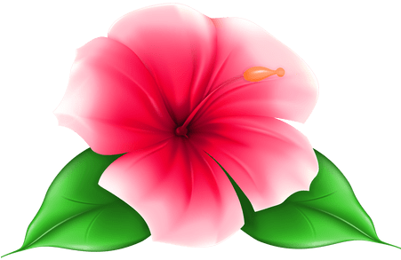 Tropical Clipart Exotic Flower 4 450 X - Tropical Flower Transparent Background (450x300)