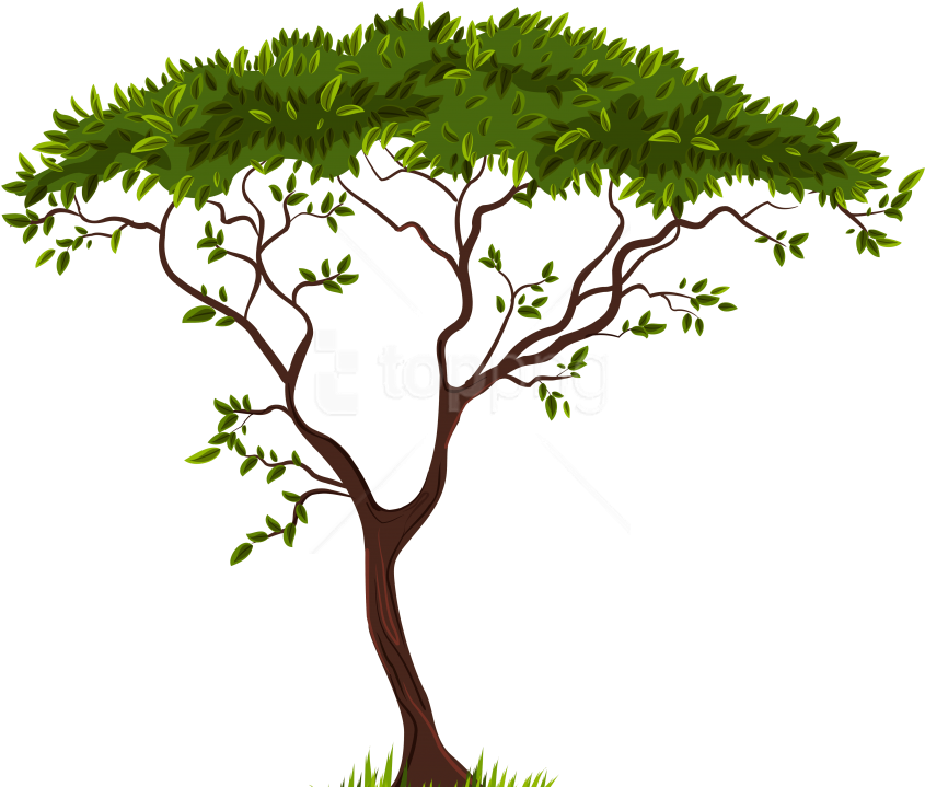 Free Png Download Exotic Tree Clipart Png Photo Png - Transparent Background Trees Clipart (851x733)