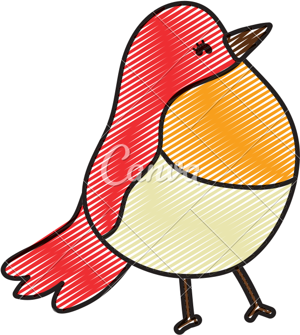Doodle Beauty Tropical Bird Exotic Animal - Cartoon (800x800)