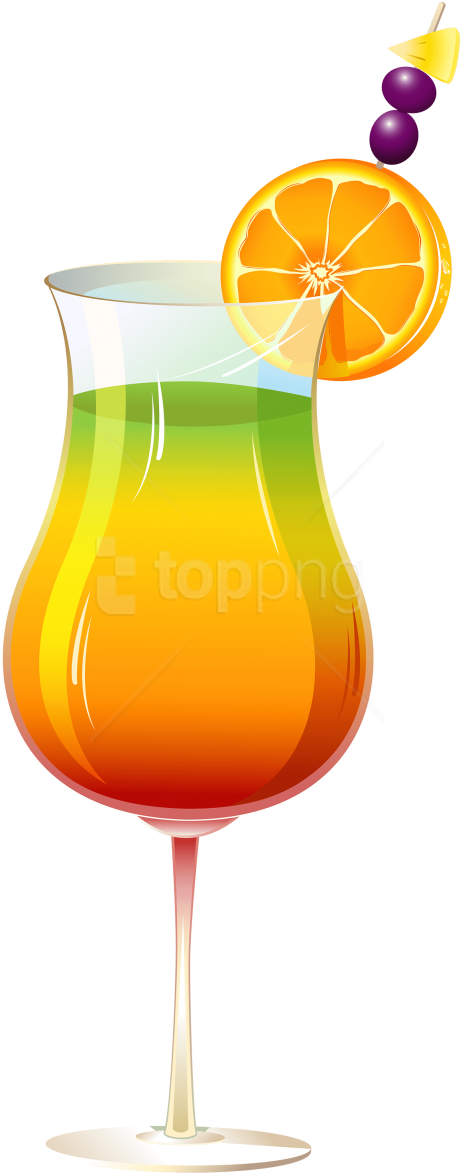Free Png Download Exotic Cocktail Clipart Png Photo - Clip Art (480x1197)