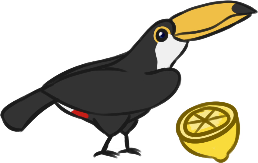 Toco By Kajuale Pinterest Ⓒ - Toucan (900x600)
