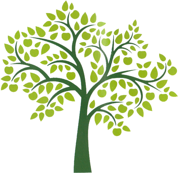 Printable Family Tree Clipart (591x575)
