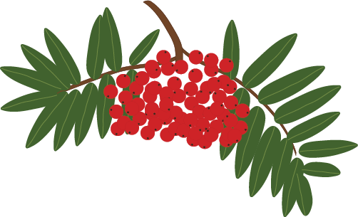 Mum Made A Batch Of Rowan Berry Jelly, So Of Course - Mum Made A Batch Of Rowan Berry Jelly, So Of Course (502x305)