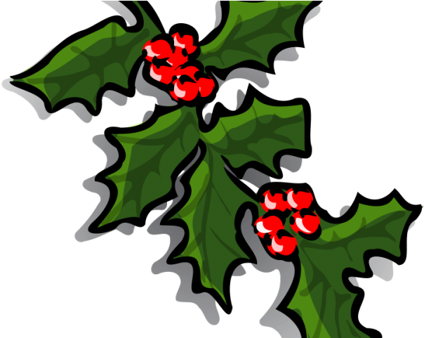 Chestnut Clipart Christmas - Clip Art Holly Branch (640x480)