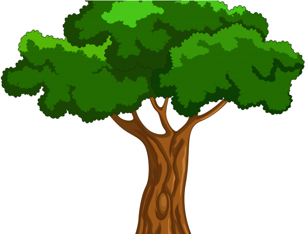 Chestunt Clipart Chestnut Tree - Tree Png Free Cartoon (640x480)
