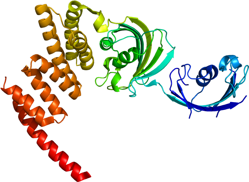 Fkbp5 Protein (923x689)